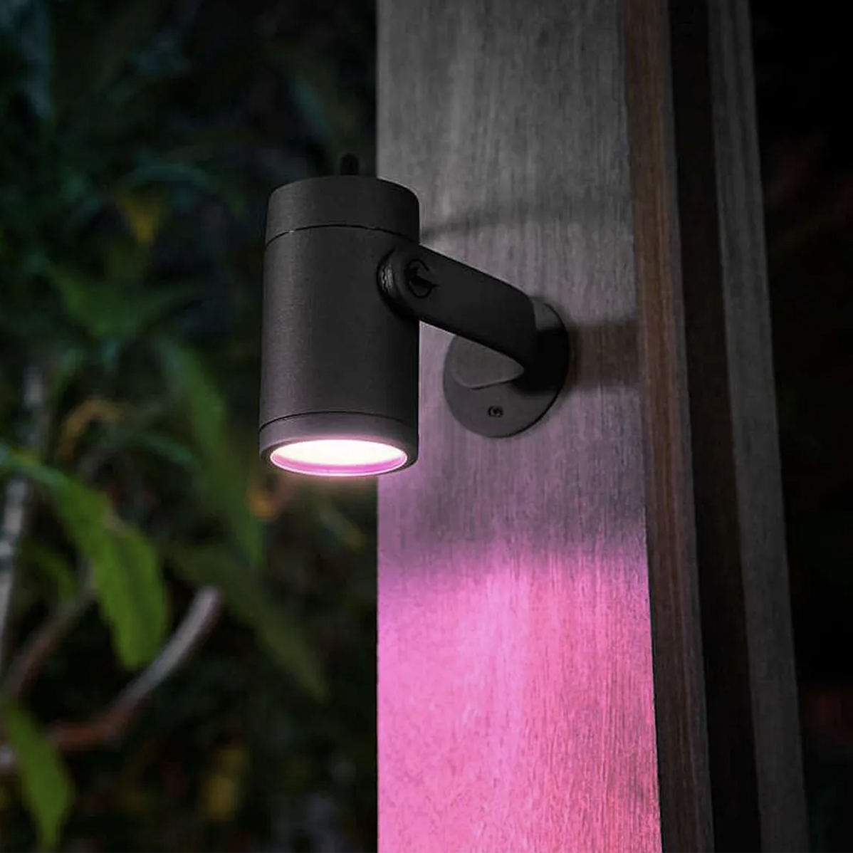 Philips Hue light outside in garden at night with pink light